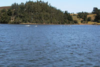 austral070128