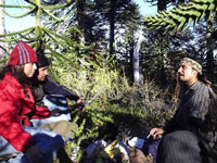 austral070130