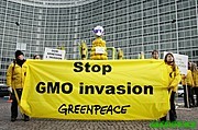 greenpeace070330