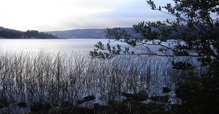lleuLleu090811