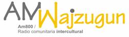 wajzugun