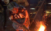 austral070601