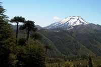 austral070625