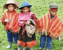 porvenir071115
