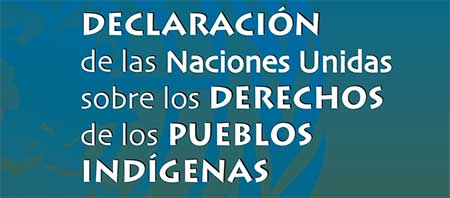 declaracion onu