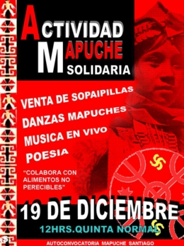 Actividad Mapuche solidaria