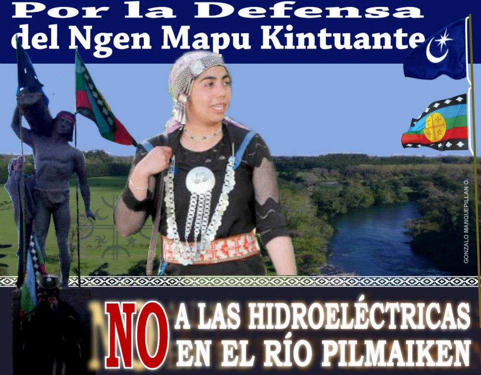 No a al hidroelectrica en el rio Pilmaiken
