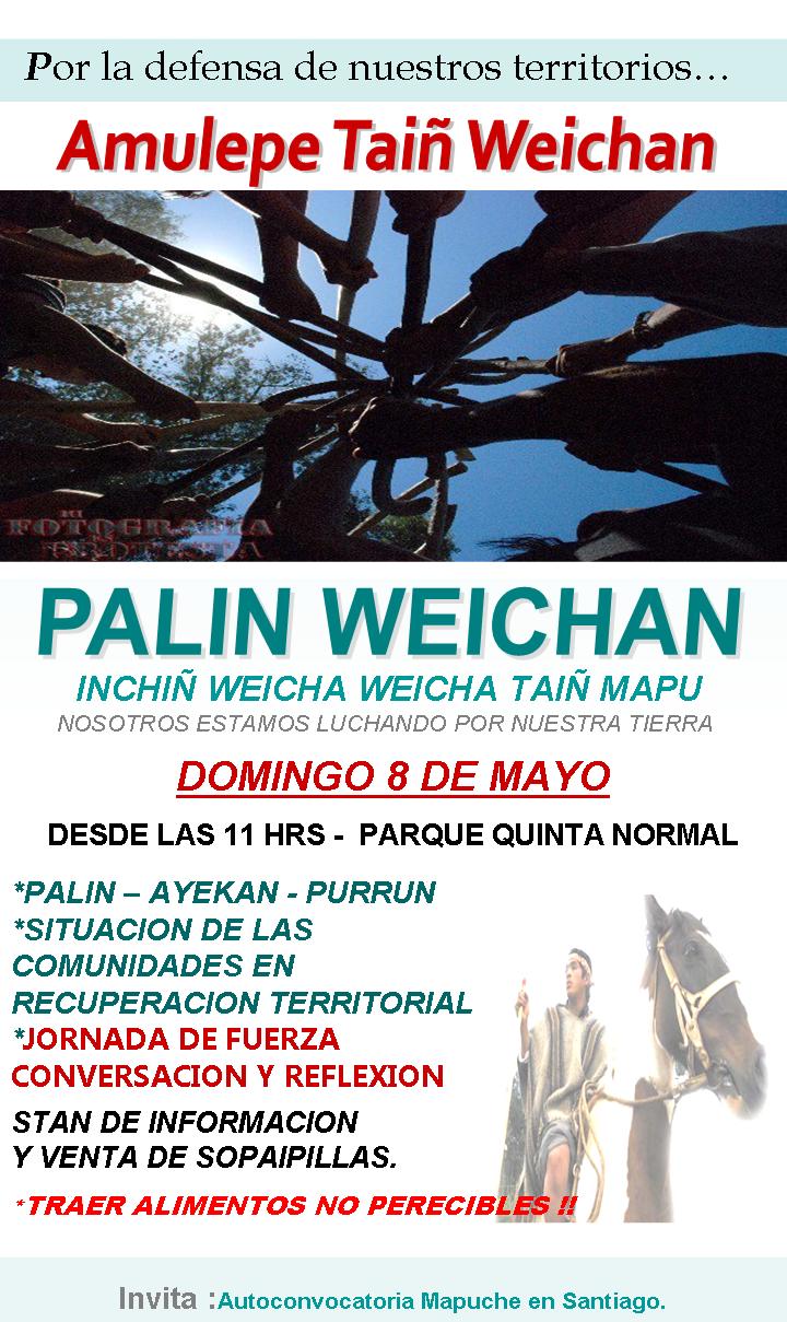 3º Palin Weichan