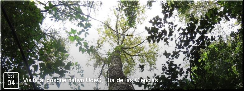 Chile, Concepción : Visita al bosque nativo UdeC, Día de las Ciencias.