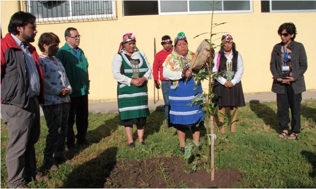 Servicio d Salud de OHiggins incorpora medicina tradicional mapuche a usuarios de CESFAM