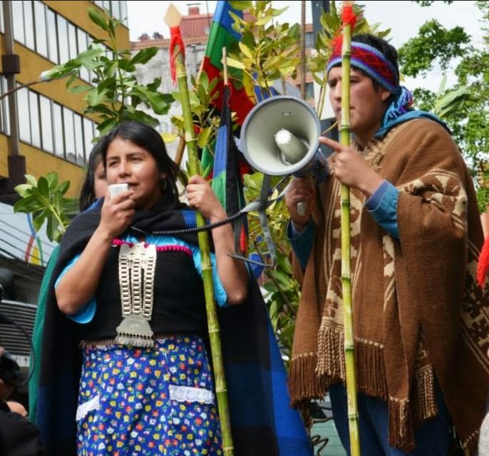 Agente de civil golpean y amarran a mujer mapuche en Ercilla