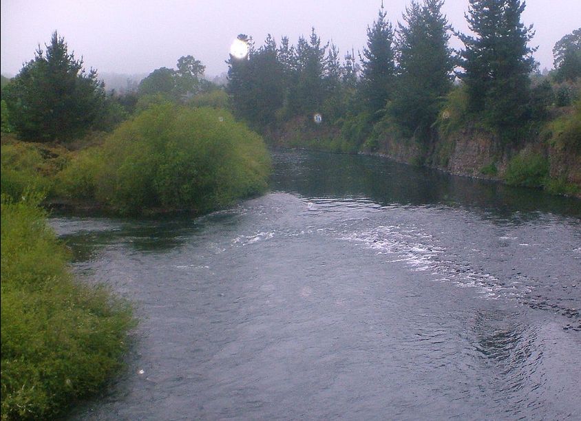 Comunidades mapuche protestan contra central de paso que se instalaría en río Cautín