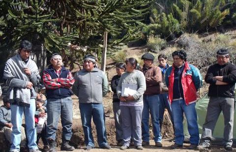 Comunidades Cayupán y Felipin denuncian usurpación de territorio ancestral