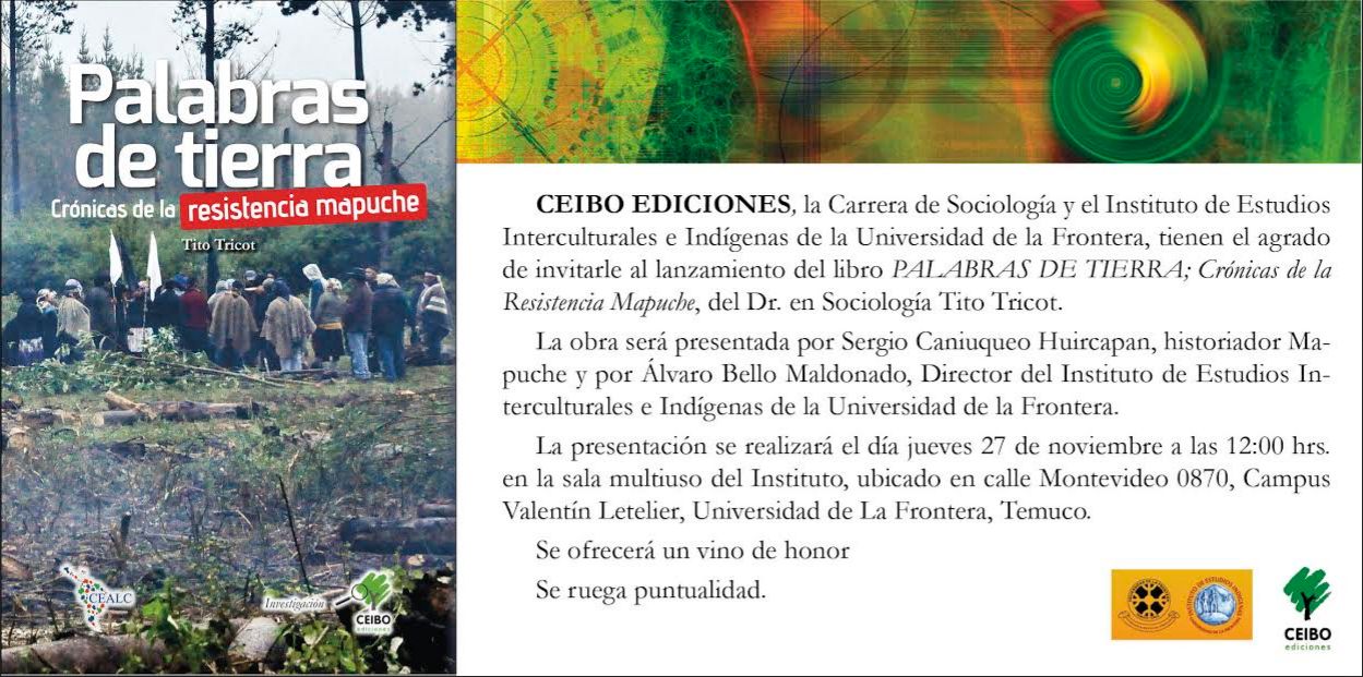 PALABRAS DE TIERRA : Crónicas de la resistencia mapuche  