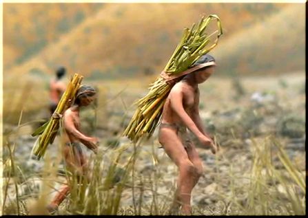 Nuestras Huellas: Historia Indígena de Chile Central (Video)