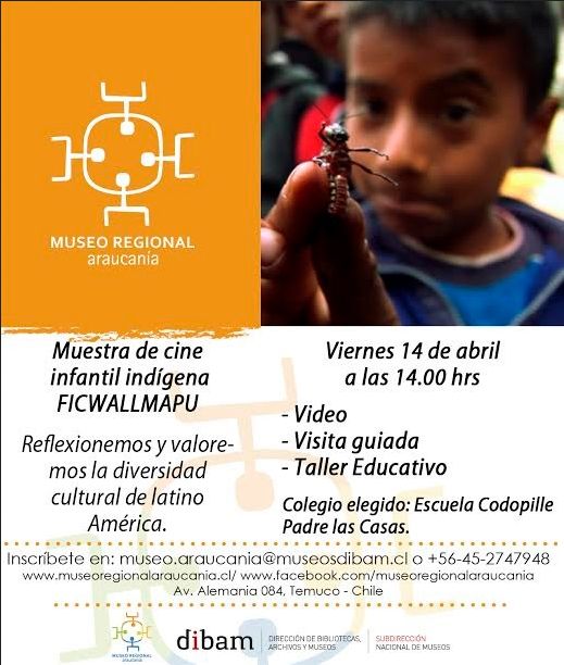 Muestra de Cine Indígena Itinerante Wallmapu 2014