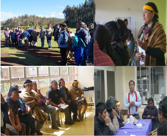 Mapuche rechazan extractivismo en sus territorios  Petroleras, mineras, salmoneras, hidroeléctricas,