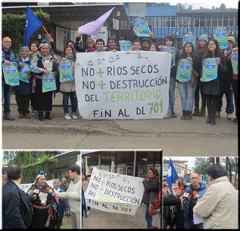 Nota intervención en CONAF en repudio a intento prorroga DL 701 sobre fomento forestal 