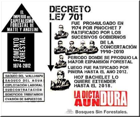 Manifestaciones contra DL 701 sobre fomento forestal este 21 de septiembre (ver video)