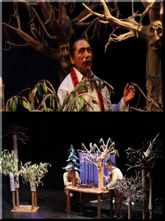 Protagoniza obra sobre la desforestación del bosque nativo
