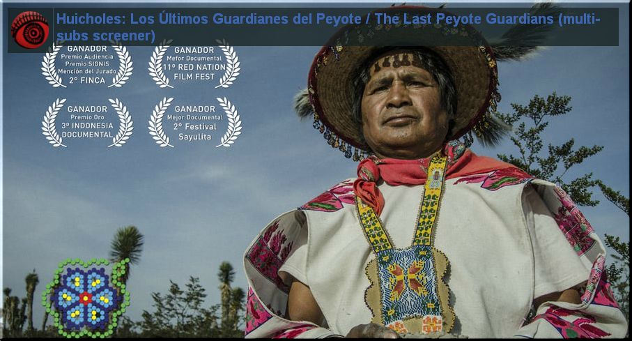 Día Internacional de los Pueblos Indígenas / International Day of the World’s Indigenous People 