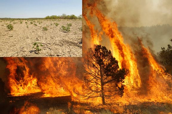 Incendios forestales y crisis hídrica centro sur Chile