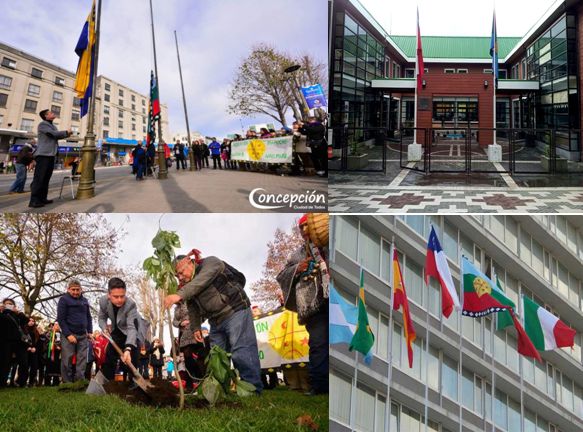 Concepción y Contulmo izaron la bandera mapuche en reconocimiento al pueblo originario