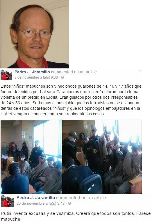 Denuncian graves actos racistas de gerente de empresa forestal “Bosques Cautín” y ex directivo CORMA