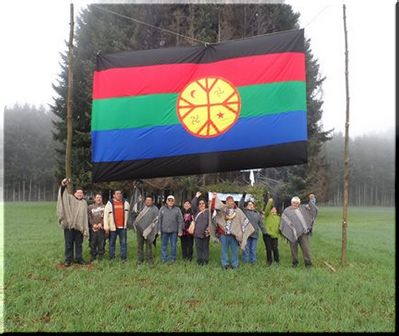 Con autorización del dueño comunidades mapuche ocupan fundo en Ercilla 