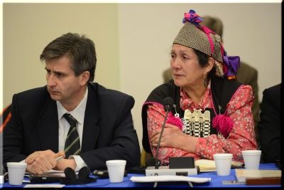 Lonco Calfunao denunció al Estado ante la CIDH por represión y atropellos a su comunidad (ver video)
