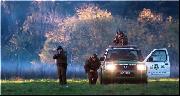 Lof Lleupeco Wenteche en proceso de Recuperación Territorial (Ver video)
