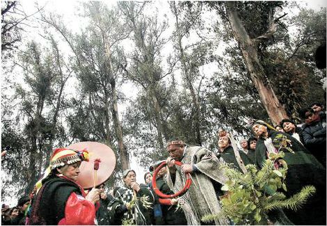 El sueño de la autonomía mapuche