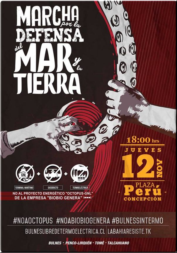 Marcha por la defensa del Mar y la Tierra: Fuera BioBioGenera - No al Proyecto Octopus