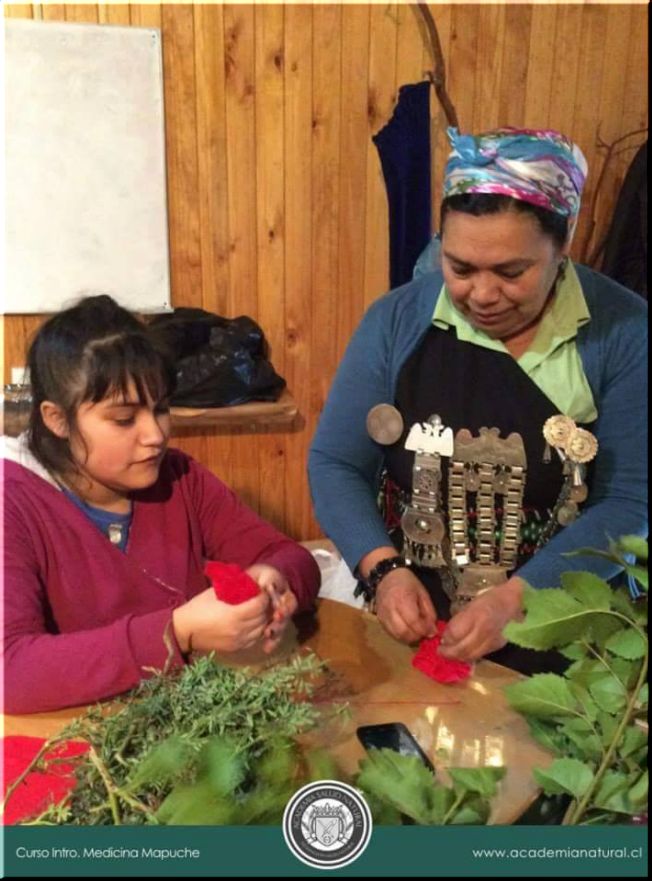 KUME FELEN SANTIAGO WARRIA MEW, CHARLA SOBRE SALUD INTERCULTURAL Y HIERBAS MEDICINALES