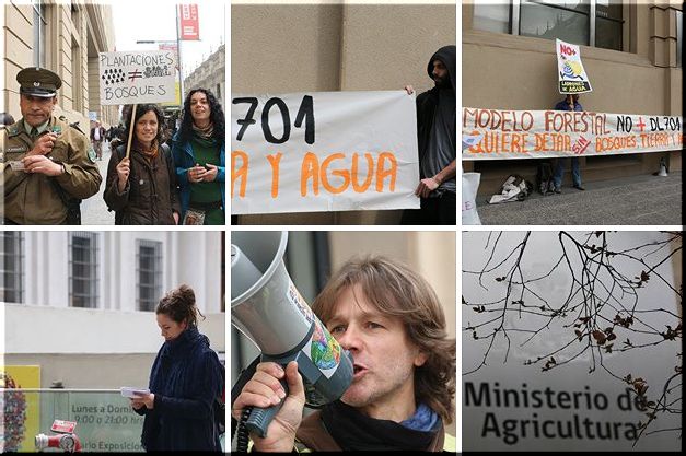 Chile, Santiago: 21 de sept - Día Mundial contra los Monocultivos de Árboles