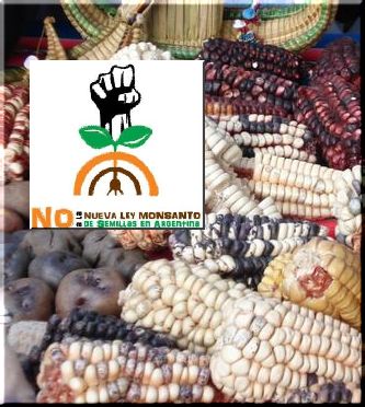 La pelea de Monsanto, los sojeros y las semilleras por una Nueva Ley de Semillas a su medida.
