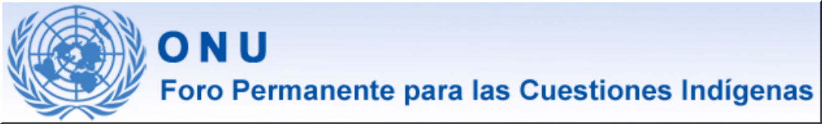 ONU   Foro permanente de los pueblos indigenas