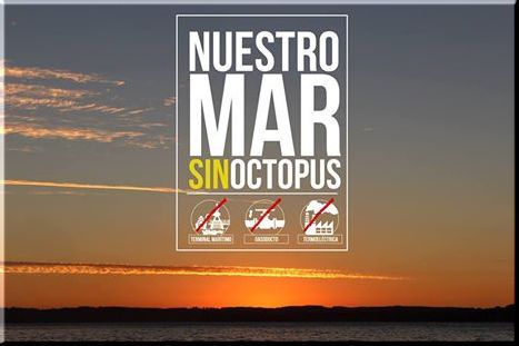 Chile, Concepción: Concentración por la defensa de la Tierra y el Mar: No OCTOPUS de BioBioGenera