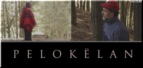 Luis Dubó y Lorenzo Aillapán, el Hombre Pájaro, preparan película sobre conflicto mapuche