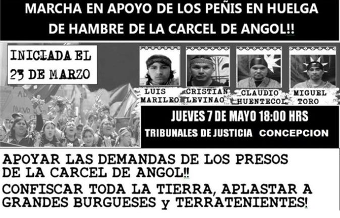 Convocan a marcha en apoyo a presos políticos mapuche que llevan 44 días en huelga de hambre