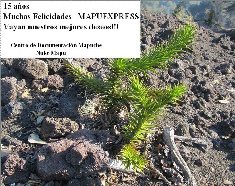 Mapuexpress y sus 15 años de existencia