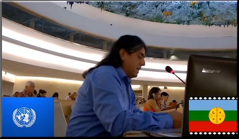 Ponencia de Aukiñ Wallmapu Ngulam, Consejo de Todas las Tierras ante la ONU