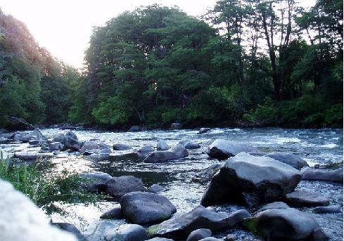 Comunidad mapuche denuncia que empresa realizaría extracción ilegal de áridos en Padre las Casas