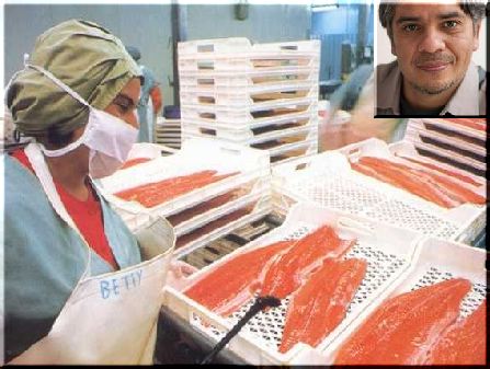 La fiebre naranja del Salmón 