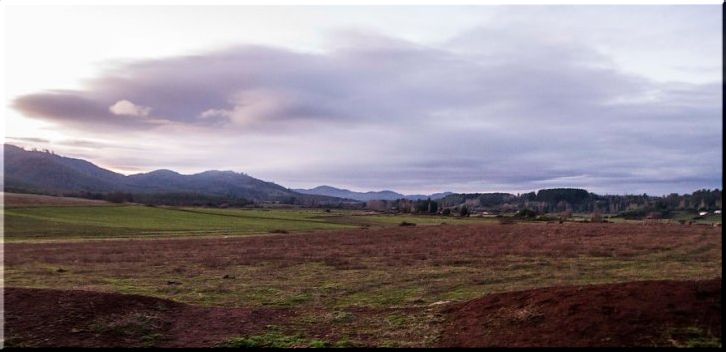 Familias mapuche piden investigación tras ser excluidos en asignación de tierras en La Araucanía