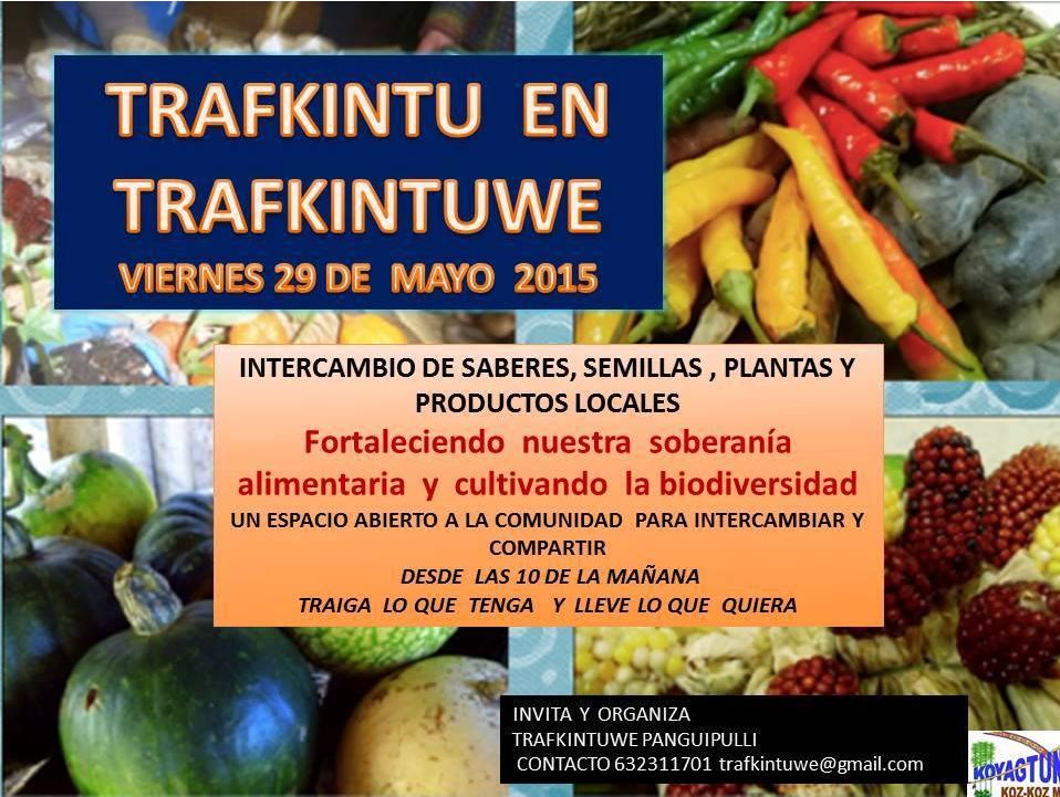 Trafkintu en Panguipulli:  Fortaleciendo nuestra soberanía alimentaria y cultivando la biodiversidad