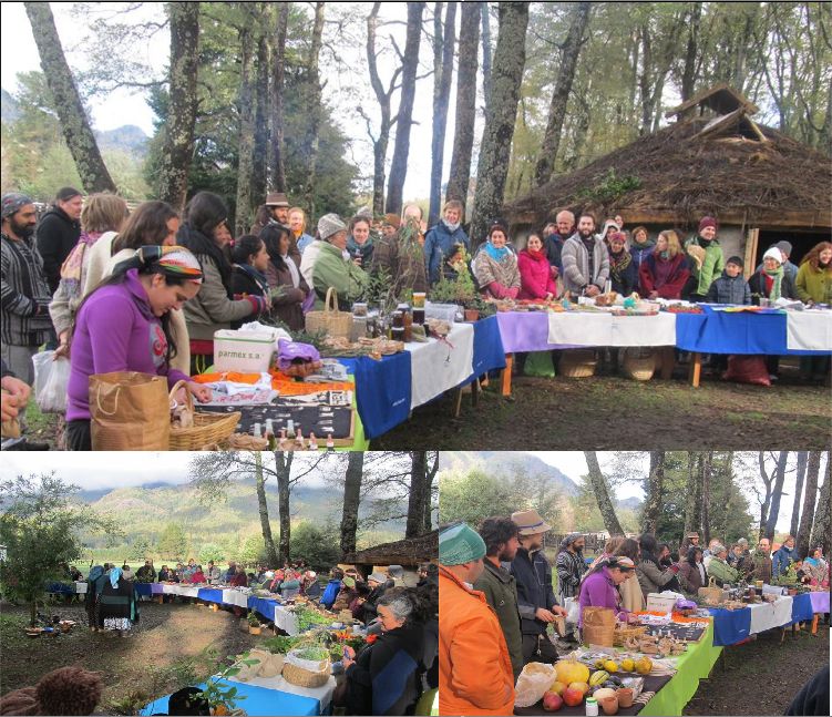 Trafkintu Curarrehue: Hacia una educación basada en respeto y soberanía alimentaria de los Pueblos
