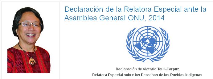 Declaración de Victoria Tauli-Corpuz Relatora Especial sobre los Derechos de los Pueblos Indígenas.