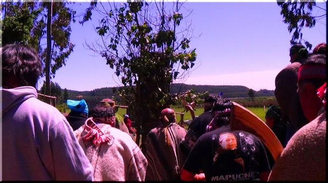 VICIADO PROYECTO DE REFORMA CONSTITUCIONAL SOBRE PUEBLOS INDIGENAS