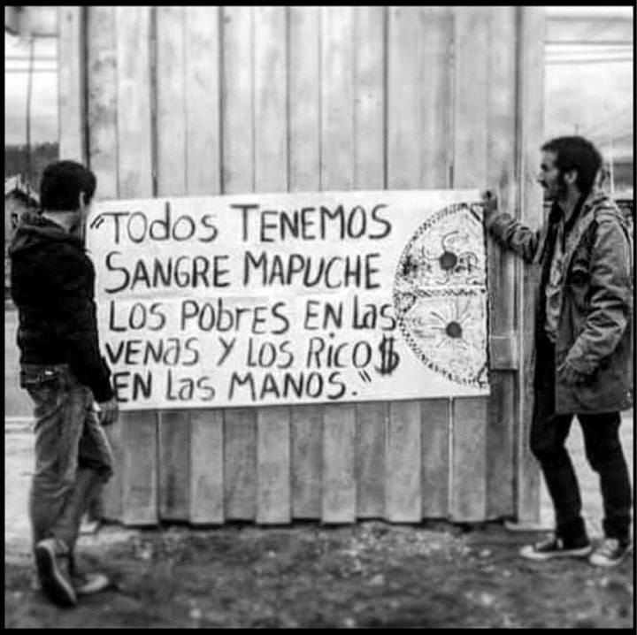 Pueblo Mapuche y Asamblea Constituyente